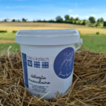 DÉTENTE MUSCULAIRE CHEVAL