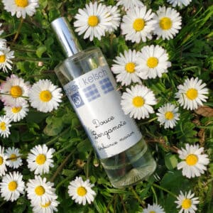 Flacon de parfum d'ambiance naturel dans paquerettes
