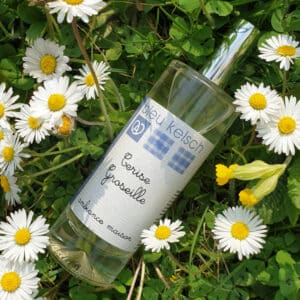 Parfum d'ambiance